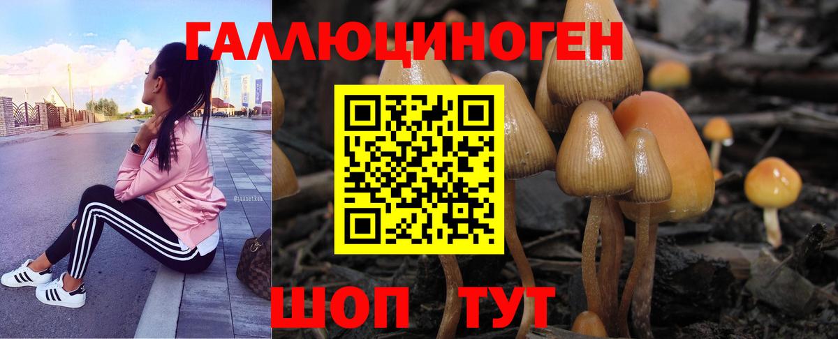 Первоуральск  Псилоцибиновые грибы Magic Shrooms  Вход с VPN 